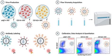Flow Virometry Quantification of Host Proteins on the Surface of HIV-1 ...