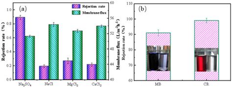 IP–ZrO2/BC Nanofiltration Membranes: Preparation and Properties