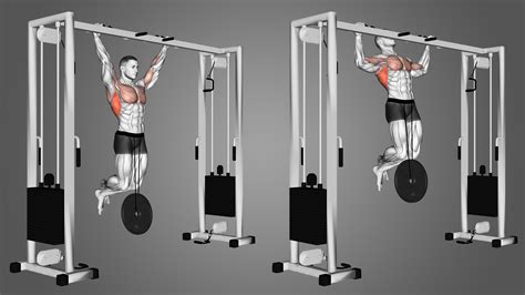 Weighted Pull Ups Strength Training at Jordan Timperley blog