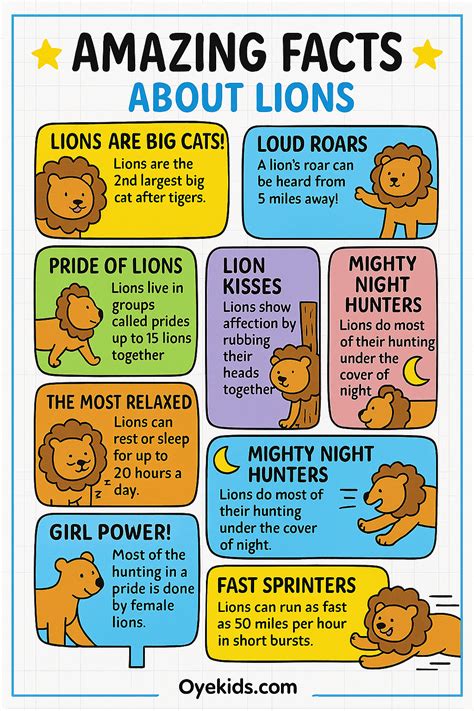 Lion Facts for Kids – Meet the King of the Jungle! | Lion facts, Lion ...