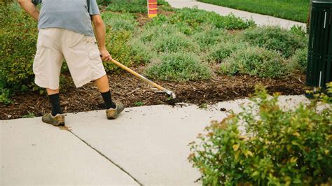 Image result for Edging Explained