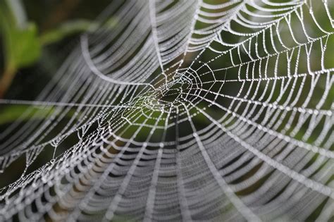 Web Page Python Tutorial 的图像结果