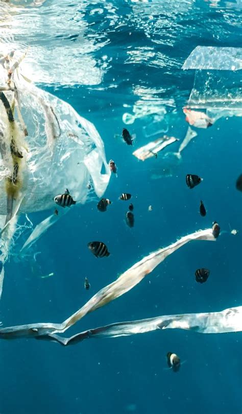 About PROTEGO | projectprotego.org