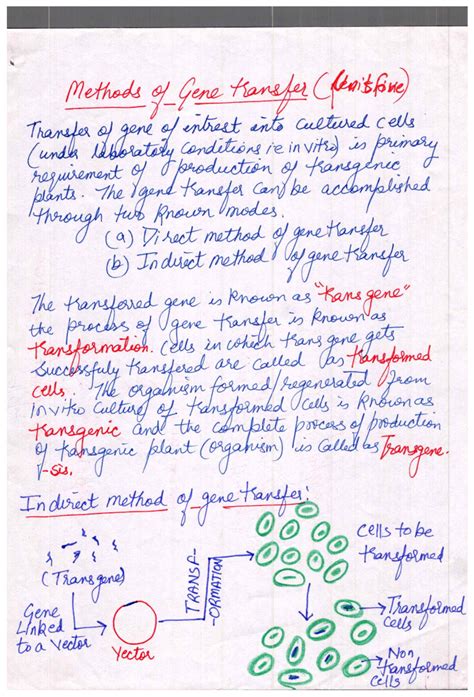 Indirect Gene Transfer Methods in Plant Biotechnology (BIO 101) - Studocu