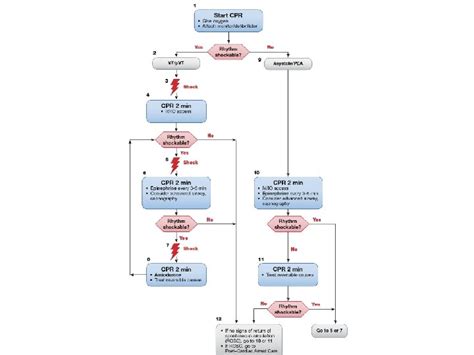 Kuvatulokset haulle pea arrest