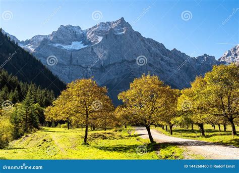 Image result for Simple CNN Example
