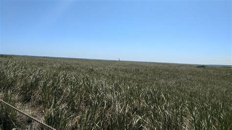 SCUSSET BEACH STATE RESERVATION (2026) All You Need to Know BEFORE You ...