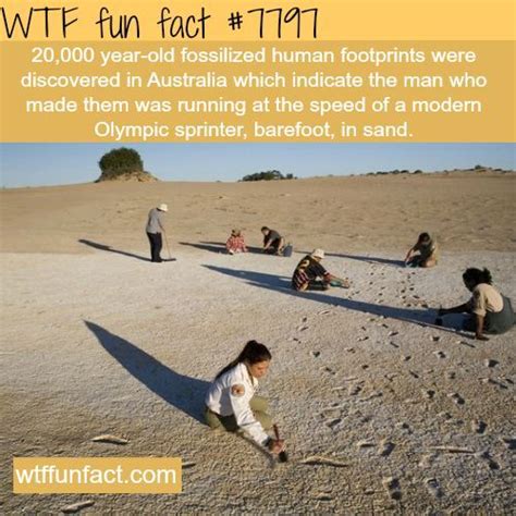 Image result for Super Random Facts