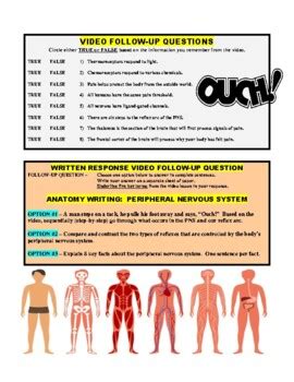 Image result for Crash Course Nervous System