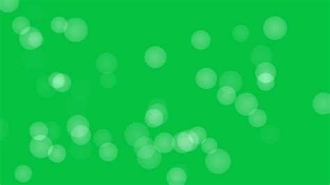 Round Bokeh particle animation on green screen background bokeh ...