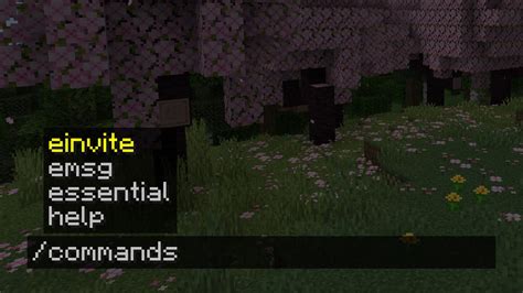 Image result for Command Block Tutorial Chat Commands