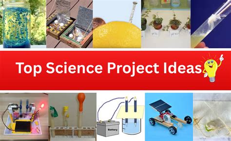 Easy Science Project Ideas 的图像结果