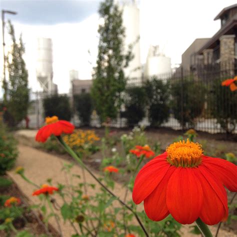 Visit Fletcher: 2026 Travel Guide for Fletcher, North Carolina | Expedia