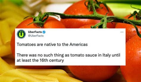 Crazy Fun Stuff 的图像结果