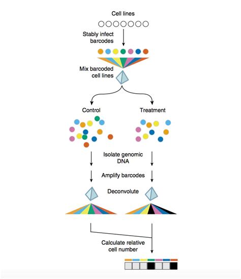 DNA Barcoding Library 的图像结果