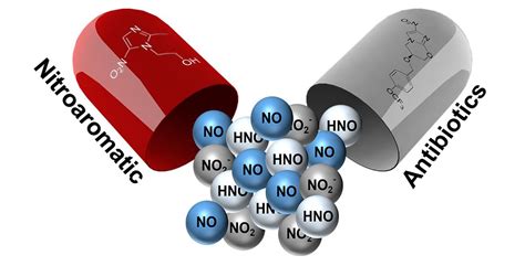 Nitroaromatic Antibiotics as Nitrogen Oxide Sources