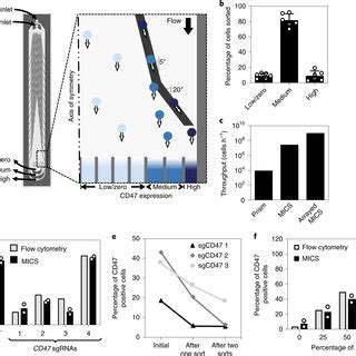 Image result for Cell Sorting Microfluidic Chip