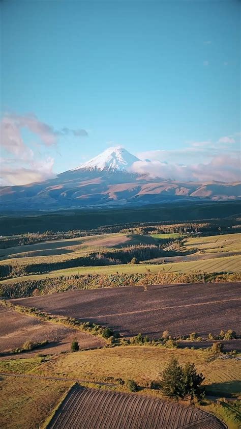 Fundación Ecosistemas en Acción (ECO-ACCIÓN) (@ecosistemas_en_accion ...