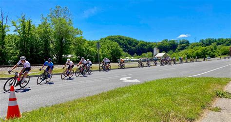 Chasing the Wild Boar