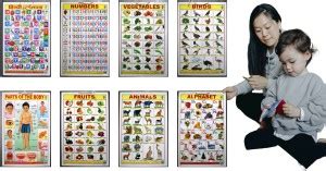 Best Educational Combo: Eight Hard Laminated 12x18 Inch Charts for Kids ...