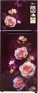 LG 242 L Frost Free Double Door 2 Star Refrigerator with Smart Inverter ...