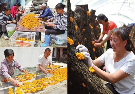 汉中将在褒河物流园区设立“综合保税区”_出口加工区