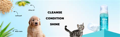 Buy Moe Rinse Free Pet Dry Shampoo for Instantly Clean and Fresh Fur ...