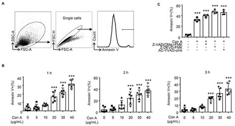 New Insight into the Concanavalin A-Induced Apoptosis in Hepatocyte of ...