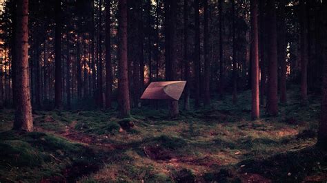 Image result for Paper Shell Banner