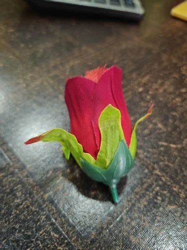 Artificial Blue Rose Stem - Velvet Rose Kali Red (100 Pc Packet ...