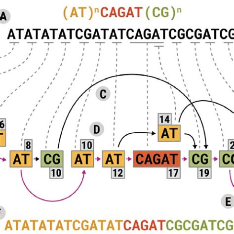 Simple Segmentation 的图像结果