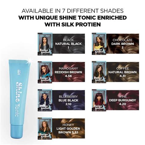 Buy BBLUNT SALON SECRET HIGH SHINE CREAM HAIR COLOUR NATURAL BLACK ...