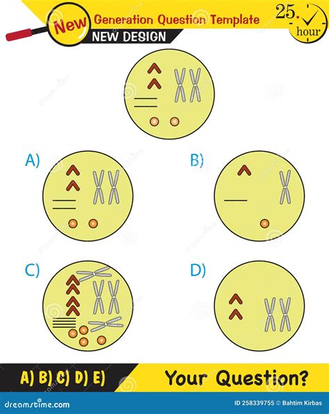 Image result for Cell Division Process