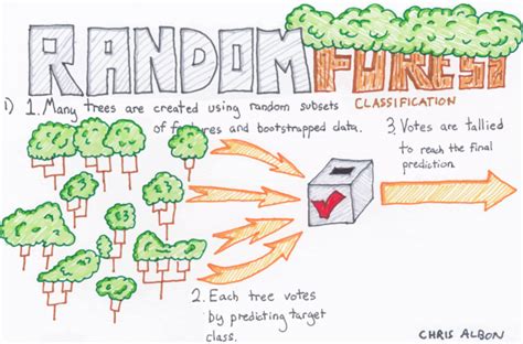 Image result for Random Forest Classifier Model Python