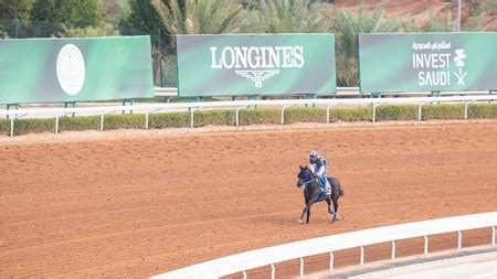 Shisospicy on Standby, Bentornato on Track for Dubai - BloodHorse