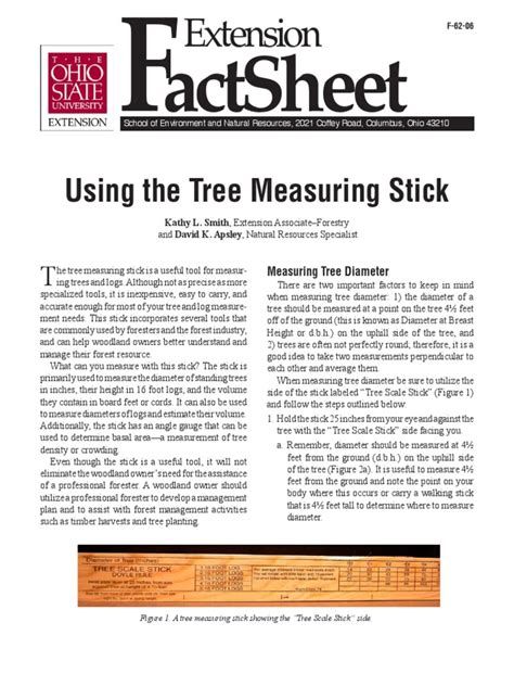 Image result for Proper Way to Measure the Height of a Tree Using a Tree Scale Stick