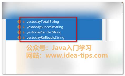 Get in Java 的图像结果