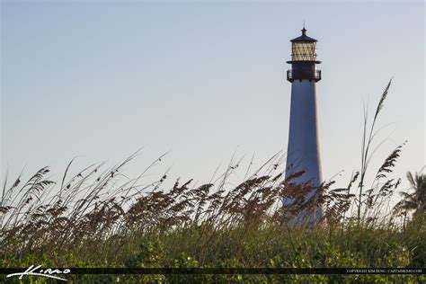 Image result for Key Biscayne Lighthouse Night