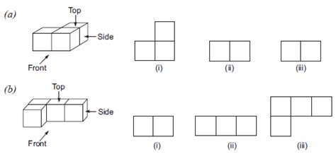 NCERT Solutions for Class 8 Maths - Visualising Solid Shapes - 1