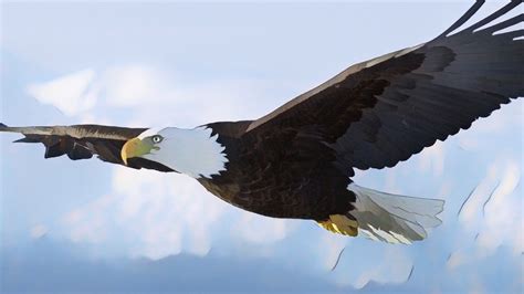 Image result for Using Imag R