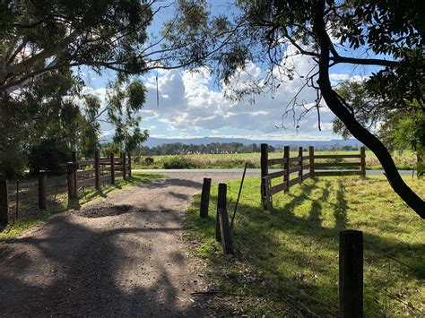 Best camping near Honeymoon Bay, NSW, AU: 12 Best Campgrounds 2026 ...