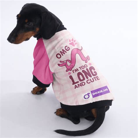 Clothes for Dachshunds – Dachshund Shop