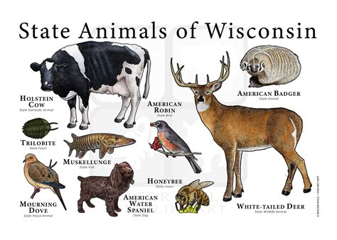 What Is Minnesota S State Animal at Laurie Hamlett blog