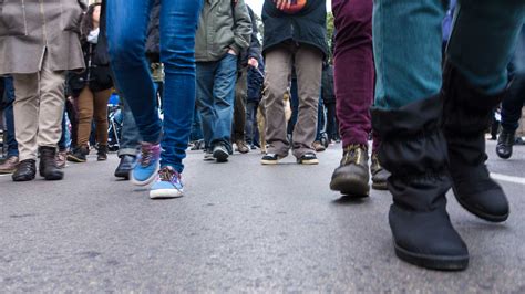 Experiences of a Professor Who Dared to Cross Professorial Picket Lines ...