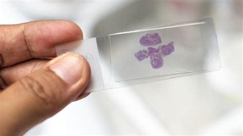 Image result for Microscope World