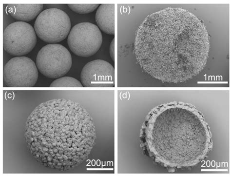 Hollow and Solid Spherical Azithromycin Particles Prepared by Different ...