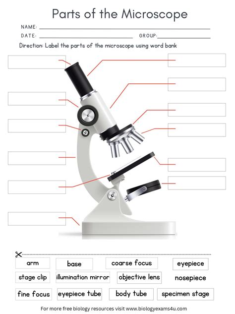 Parts of the Microscope Worksheet with Answers | Biology Worksheet ...