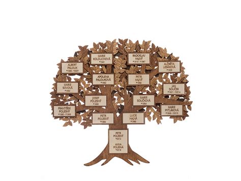 Image result for Family Tree Small Tree