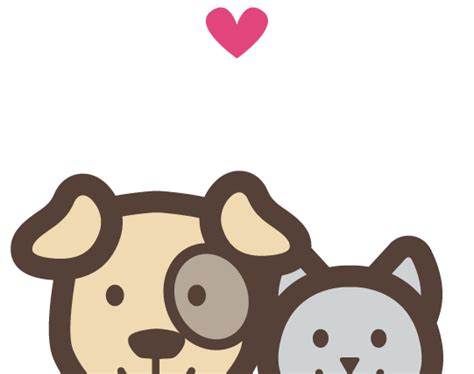 Top-Rated Pet Insurance Plans for Cat and Dog Owners
