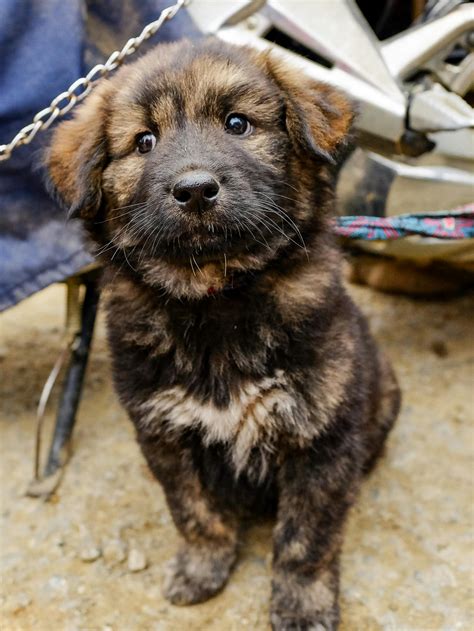 Image result for DevOps LinkedIn Cover Photo